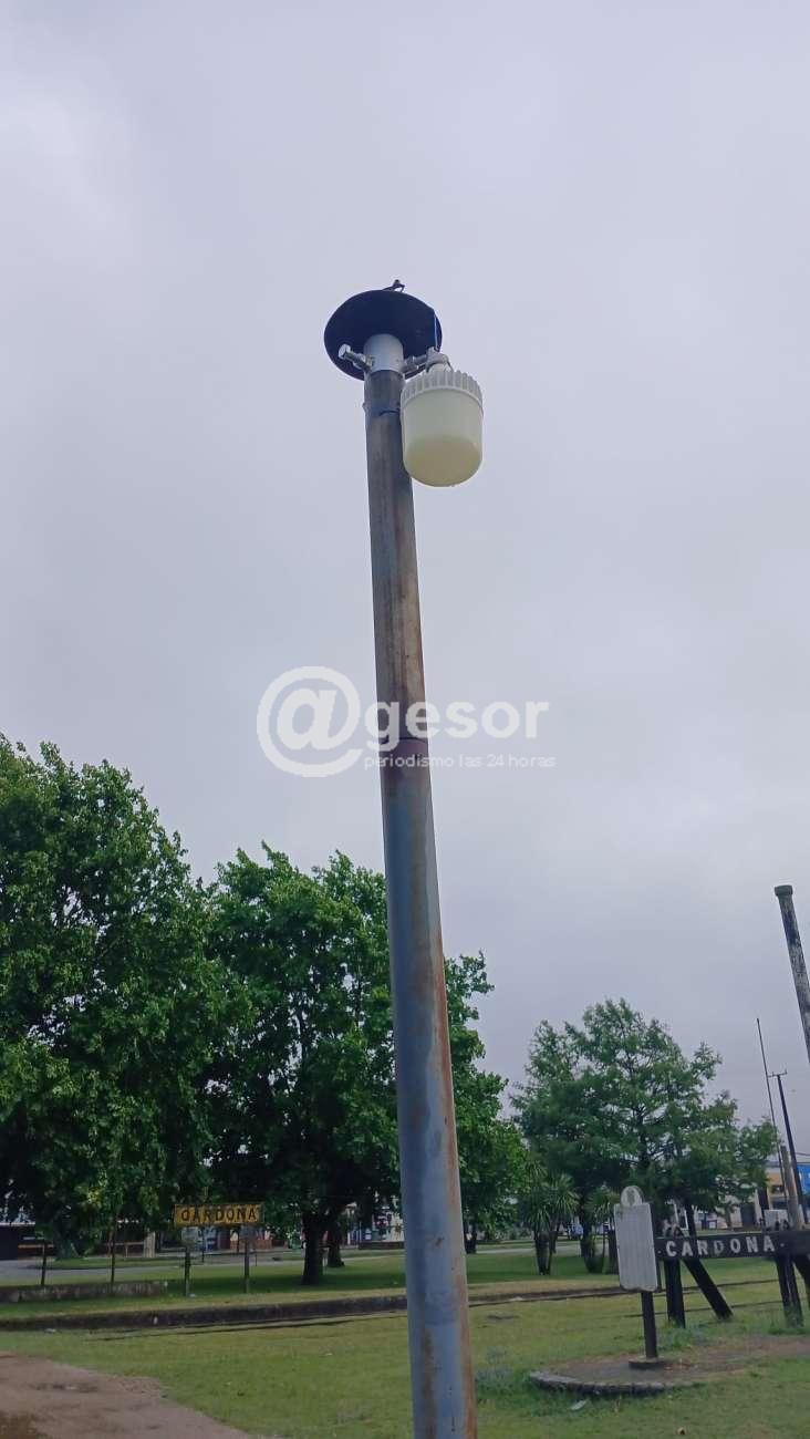 Image4